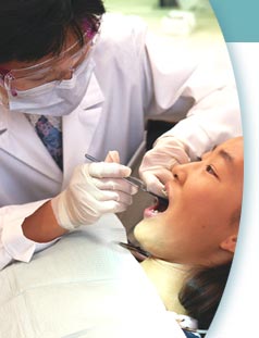 Dentists Working